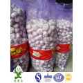 4.5cm Normal White Garlic 20kgs Loose Package From China